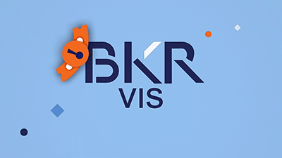 BKR-Vis